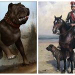 5 случаев, когда собаки использовались в качестве оружия