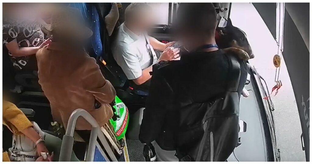 В Москве конфликт из-за собачьего намордника в автобусе закончился потасовкой