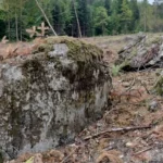 Часть линии Молотова: в Польше обнаружили заброшенный бункер времен Второй мировой войны (фото)»>