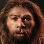 Неандертальцы тоже ругались на кухнях: ученые рассказали, о чем они спорили»>