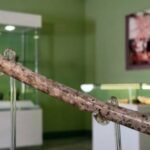 Один из древнейших музыкальных инструментов: в Иране нашли 8000-летнюю костяную флейту (фото)»>