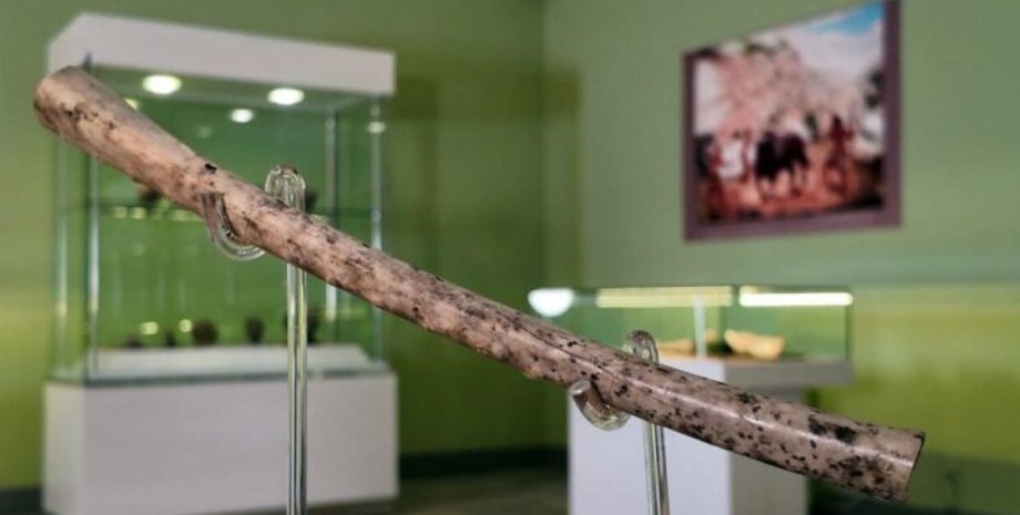 Один из древнейших музыкальных инструментов: в Иране нашли 8000-летнюю костяную флейту (фото)»>