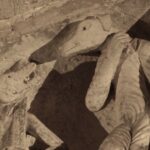 Песиголовцы тюркской мифологии: где жили существа с человеческим телом и собачьей головой (фото)»>