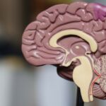 Как различить умных людей: ученые назвали одну физическую особенность, на которую нужно смотреть»>