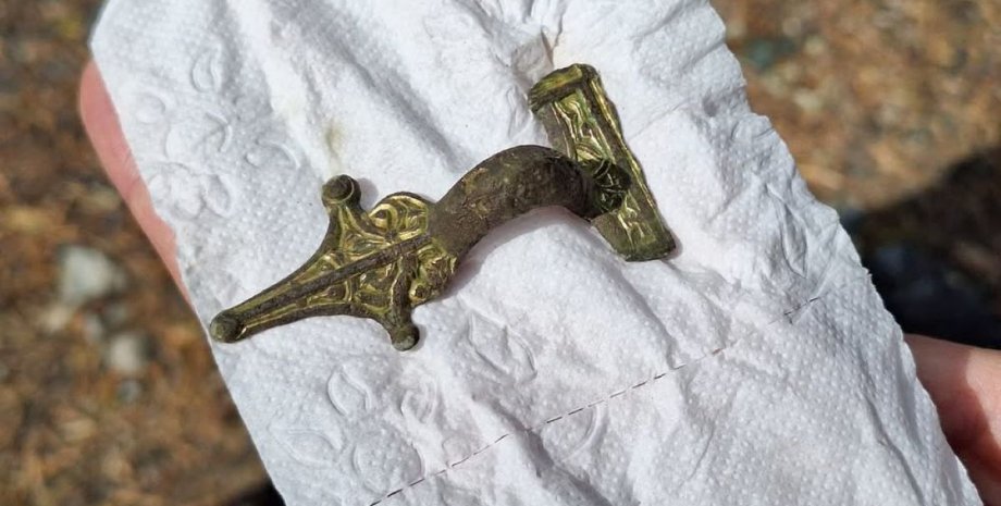 Нашла с металлоискателем: в Финляндии женщина обнаружила 1500-летнюю фибулу (фото)»>