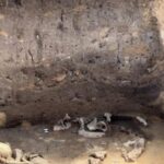 Не только человеческие останки: археологи раскопали ритуальный комплекс возрастом 5000 лет (фото)»>