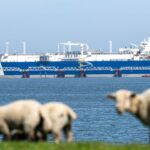 Российский газ идет в Европу: зачем в ЕС покупают российский газ и сколько тратят»>