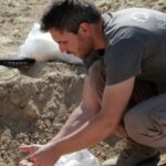 Сабля из другого мира: в Венгрии нашли нетипичное аварское захоронение (фото)»>