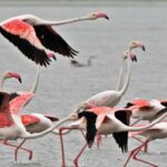 Секрет замедленного старения все время скрывался на виду: ученые отыскали его»>