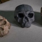 Тайна черепа Юньсянь 2: происхождение Homo sapiens снова под вопросом»>