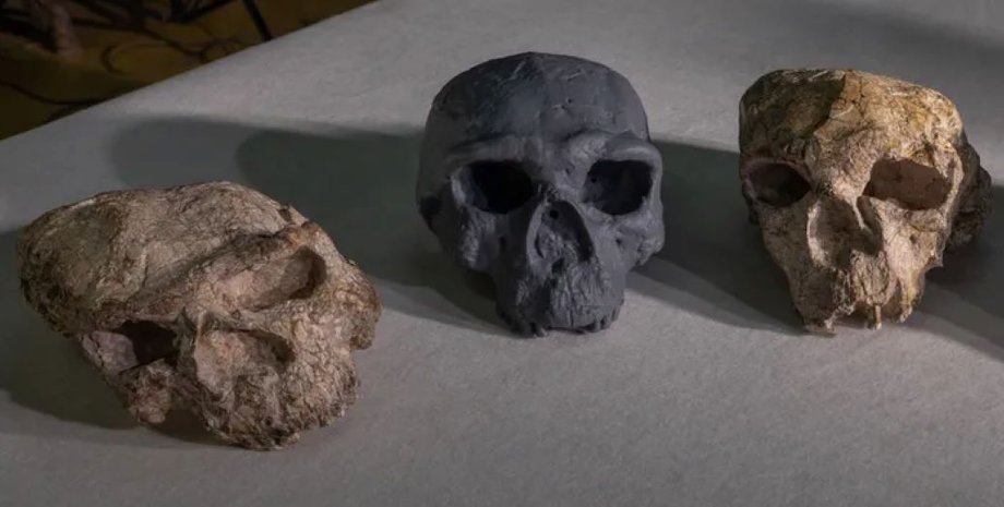 Тайна черепа Юньсянь 2: происхождение Homo sapiens снова под вопросом»>