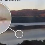 Более 5 м в длину и 1,5 м в ширину: охотники на Лох-Несское чудовище поделились новыми кадрами»>