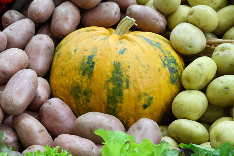 Диетолог назвал главную пользу тыквы