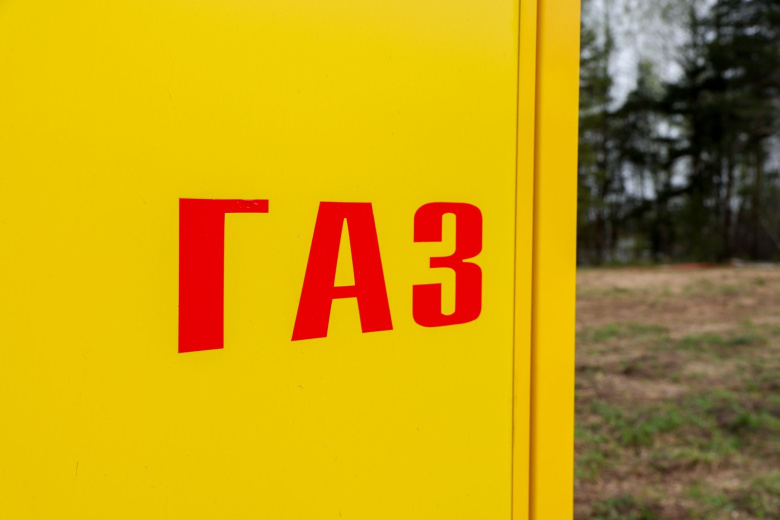 В ЕС определились с самозапретом на закупки газа у России