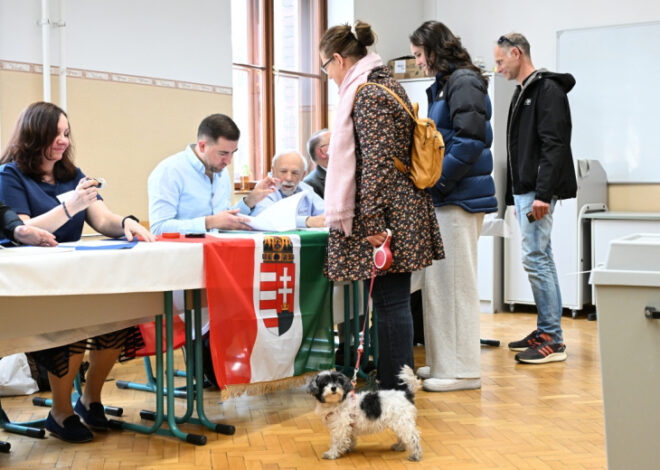 Явка на выборах в Венгрии составила 54% к середине дня
