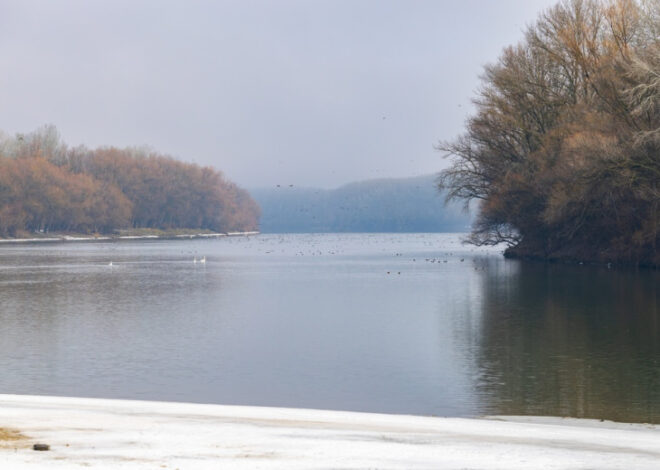 Молдавию обвинили в попытке скрыть экологическую катастрофу